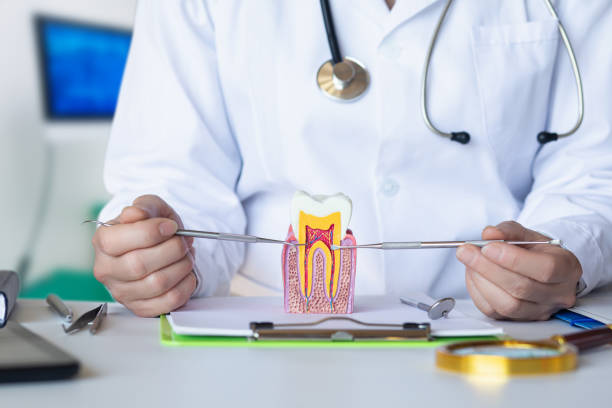 Best Emergency Dental Surgery in Fannett, TX